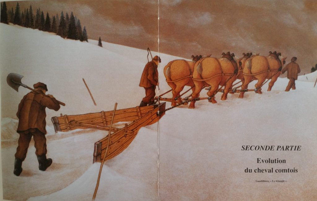 100-1996 illustration de livre