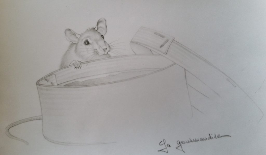 13-1994 la gourmandise croquis