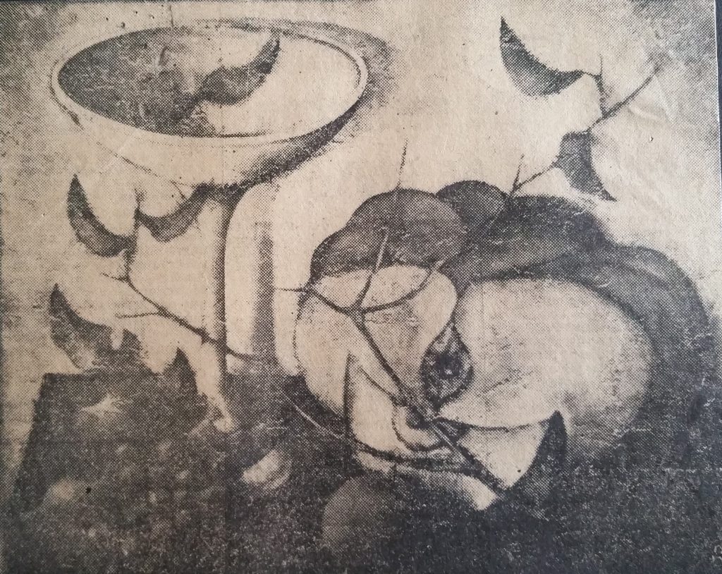 1962-43 nature morte à la citrouille 15F 0,65-0,54
