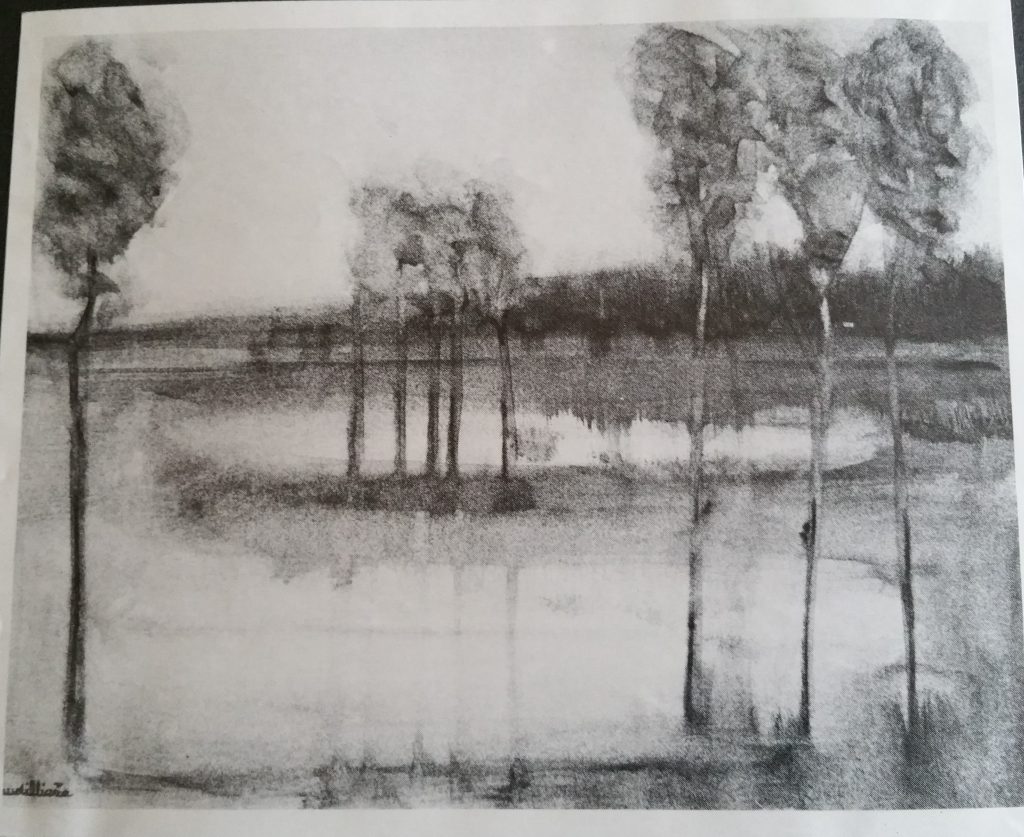 1974-18 reflets-sur le voile de l'eau 6F 0,33-0,41 huile sur papier