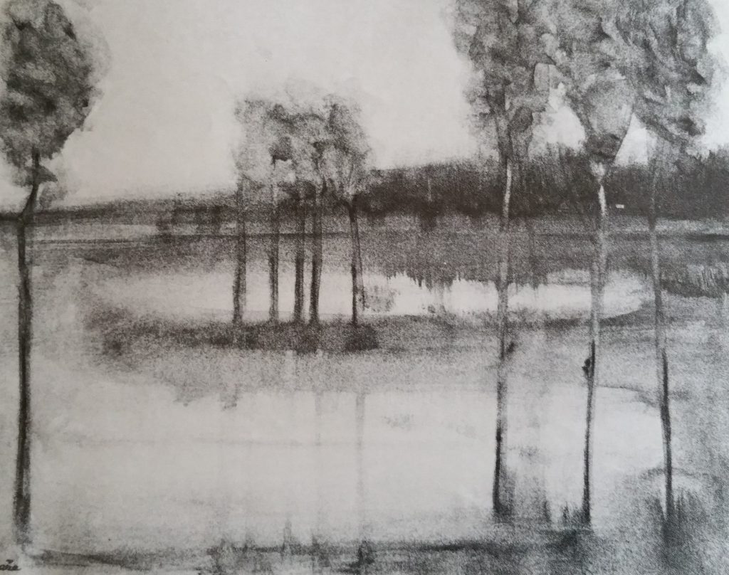 1974-18 reflets-sur le voile de l'eau ,photo réduite