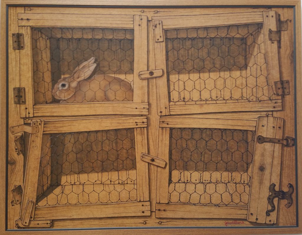 1989 le lapin HF60 0,97-1,26 isorel