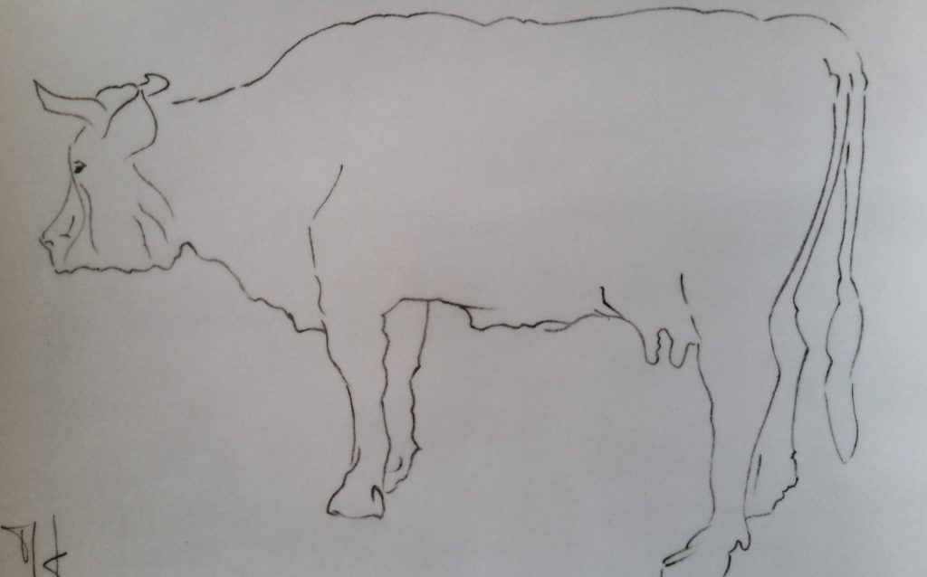20-1988 la vache croquis