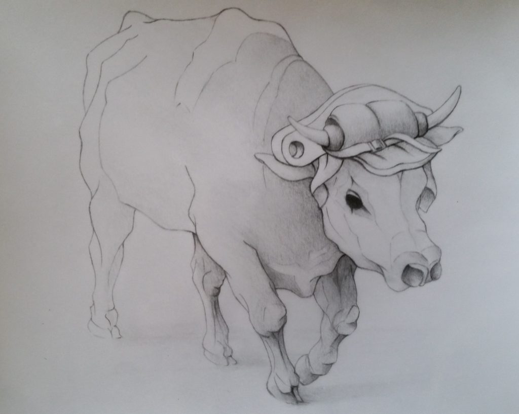 38-1988-boeuf-etude
