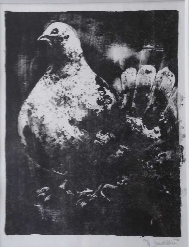 1963 le pigeon 0,30-0,22 lithographie