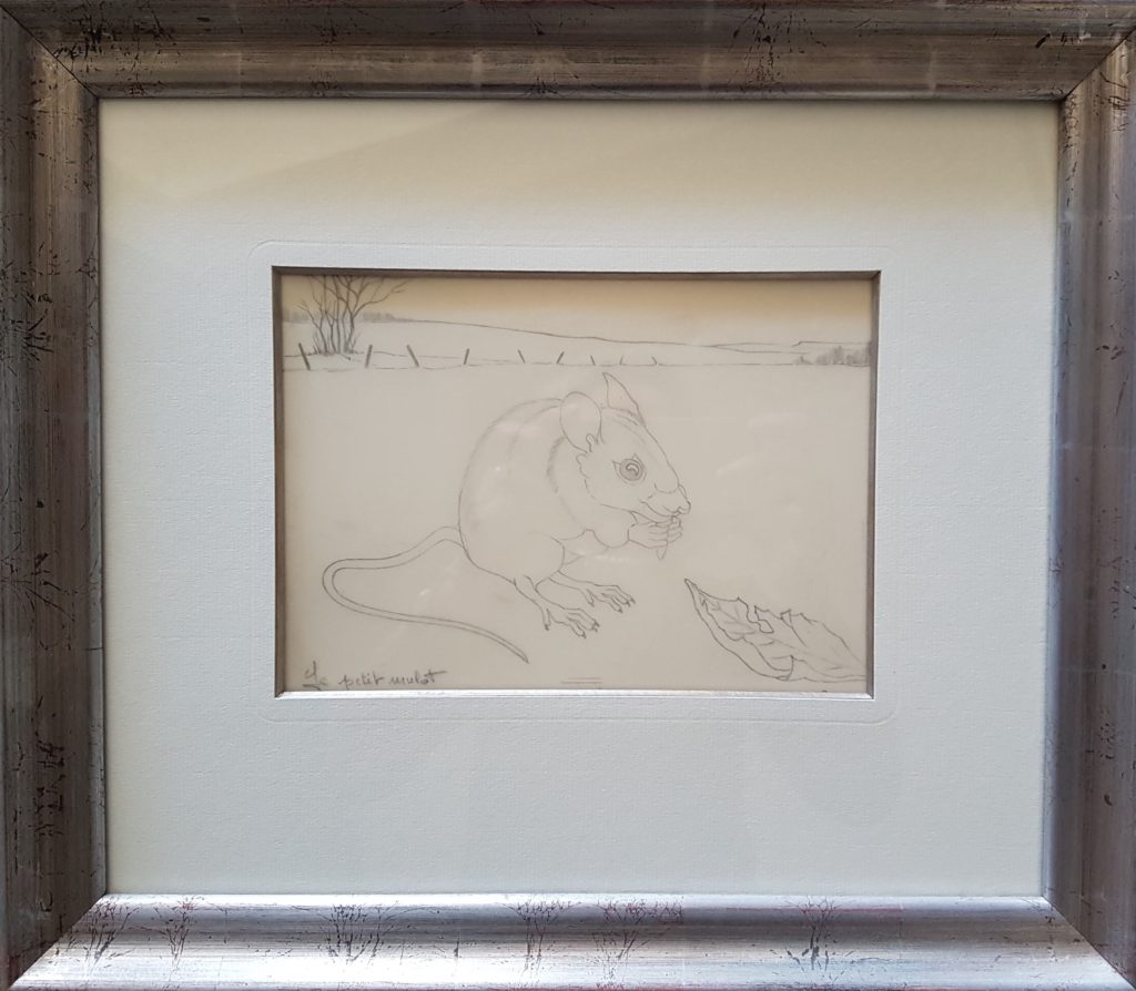 1991 le petit mulot n°1