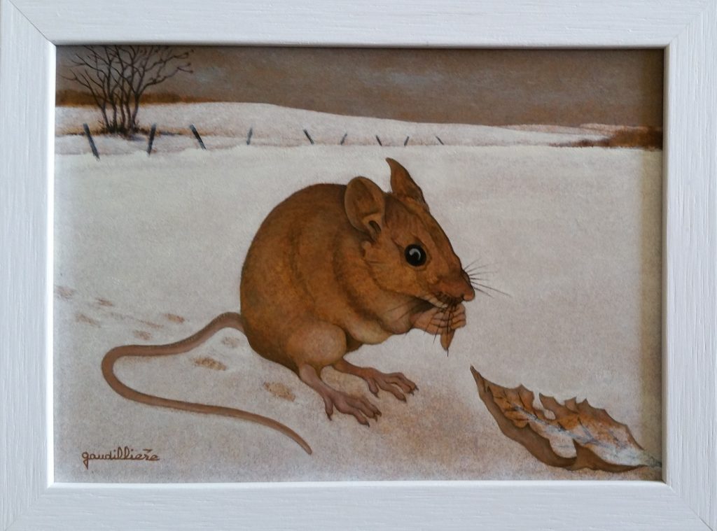 1991 le petit mulot n°1