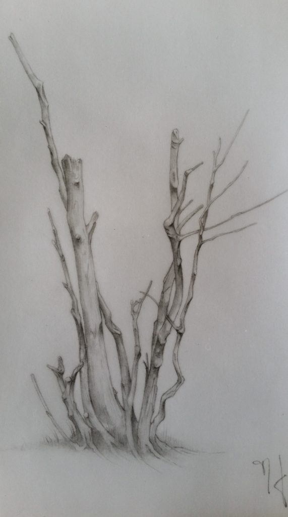1-1987 l'arbre mort étude