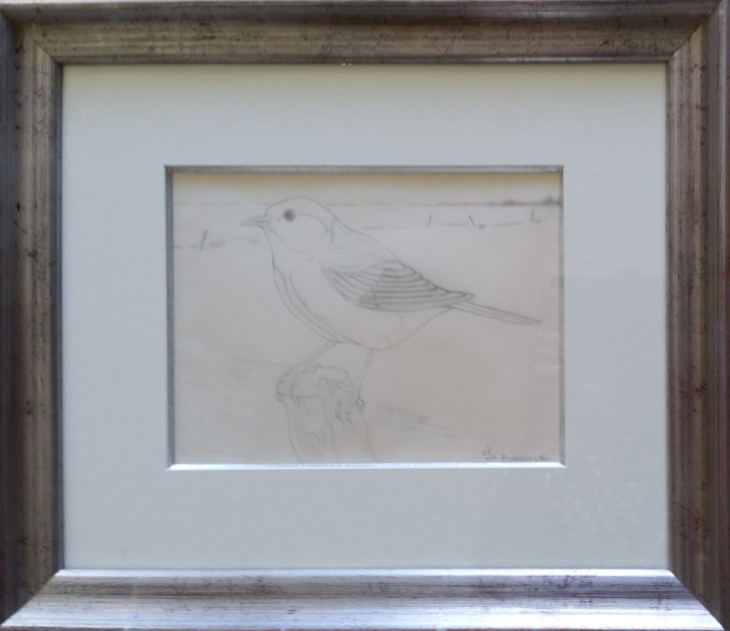 1988 la mésange 0,17-0,22 dessin calque (2)