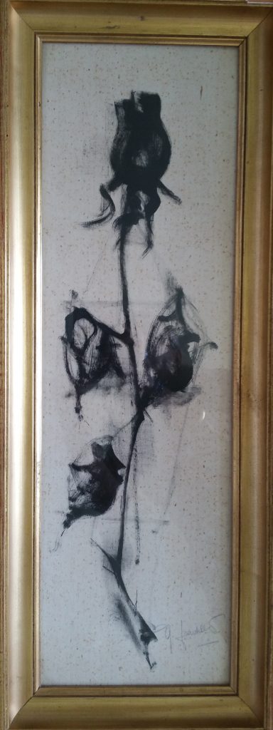 1960 rose noire