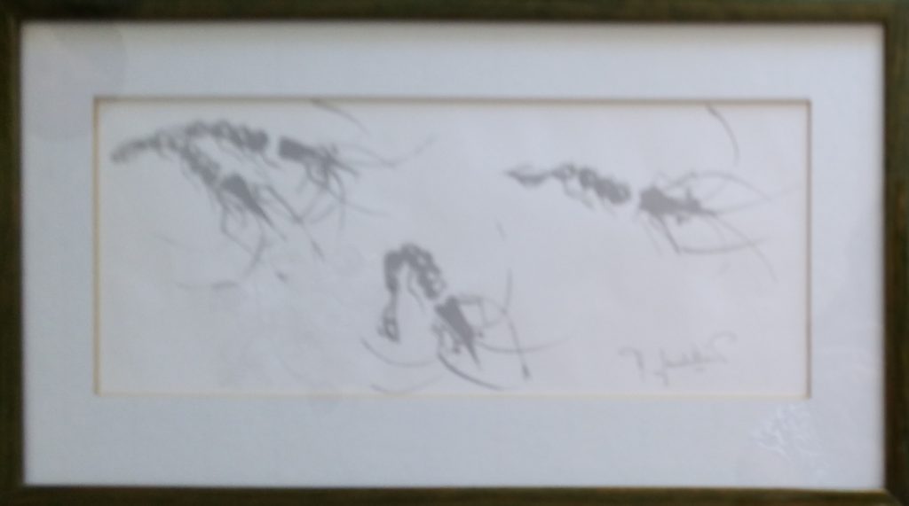 1962 crevettes 0,11-0,26 litho