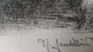 1966 les coloquintes dérail signature