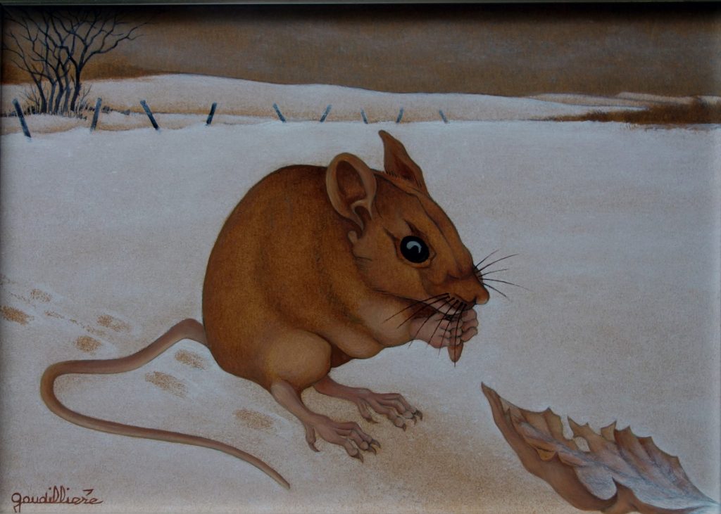 1991 le petit mulot n°2 (2)