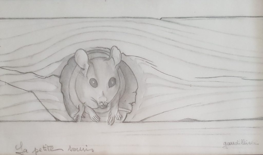 1994 la petite souris 0,15-0,24 étude dessin calque