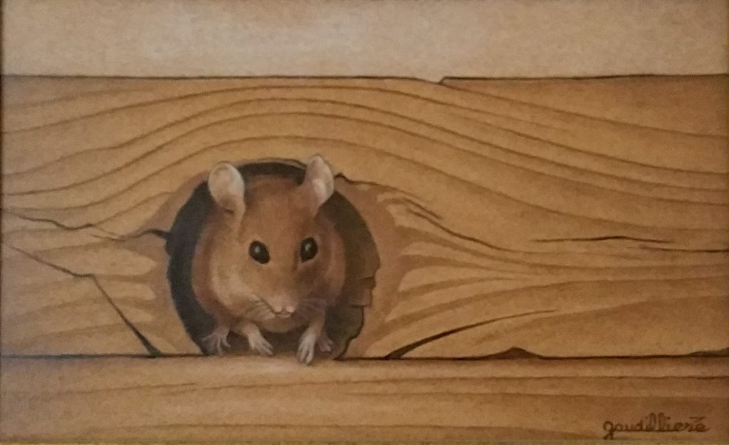 1994 la petite souris 1P 0,14-0,22 isorel