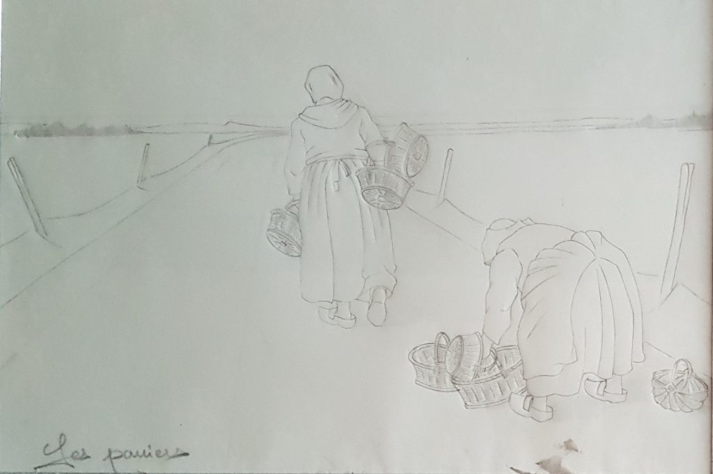 1996 les paniers 0,20-0,30 étude dessin sur calque