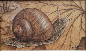1986 l'escargot 1P 0,14-0,22 isorel (2) roland gaudillière