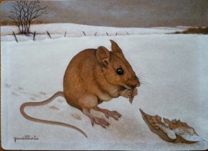 1991 le petit mulot n°1 1F 0,16-0,22 isorel roland gaudillière