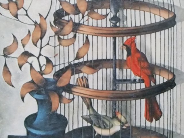Cage, oiseau rouge, vase bleu