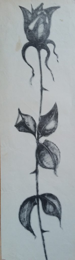 1960 la rose 0,60-0,17 litho,non signé