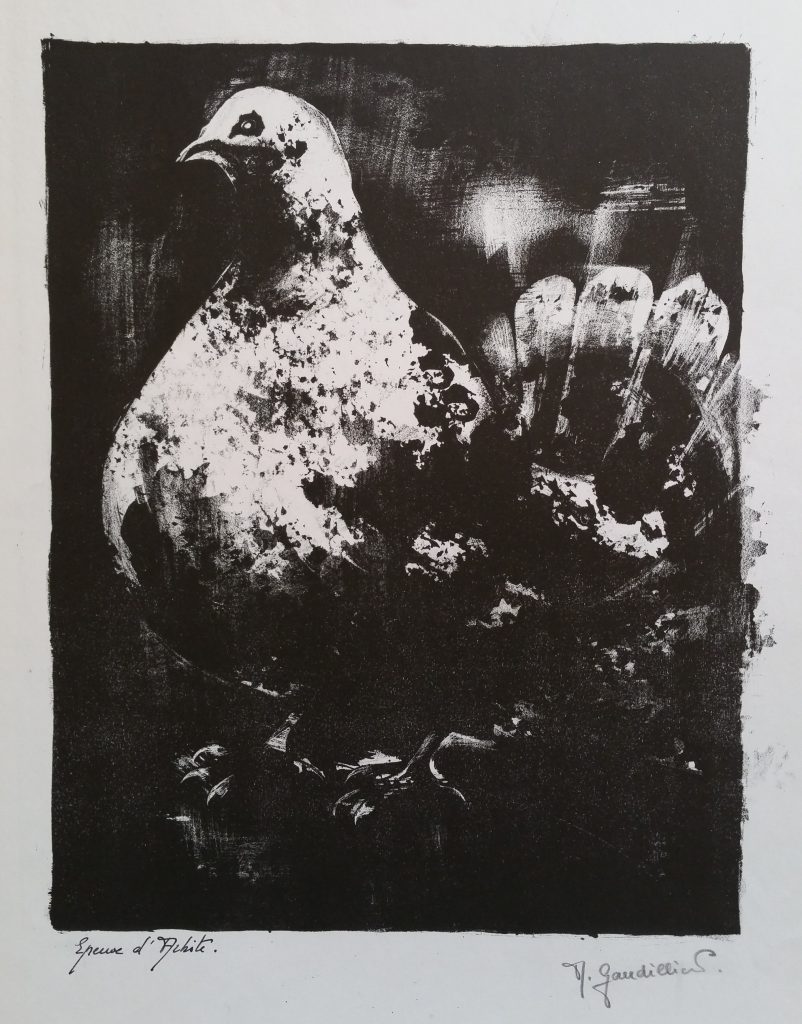 1963 le pigeon 0,30-0,22 litho Epreuve d'Artiste