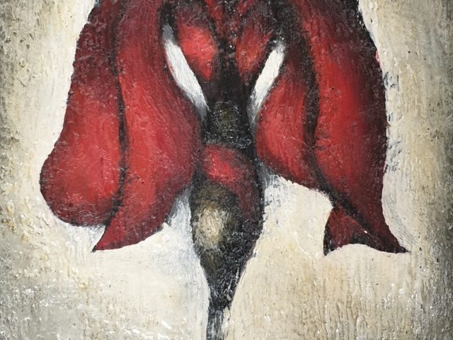 L’iris pourpre
