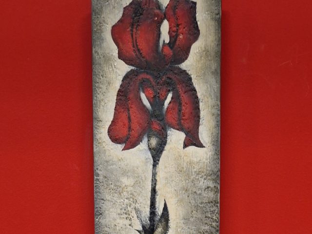 L’iris pourpre