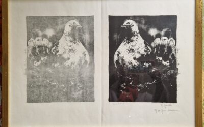 1963 Le pigeon 0,30-0,22 lithographie