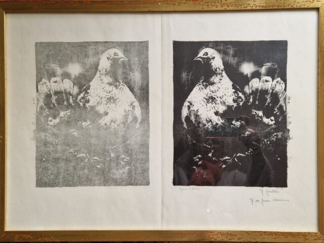 1963 Le pigeon 0,30-0,22 lithographie