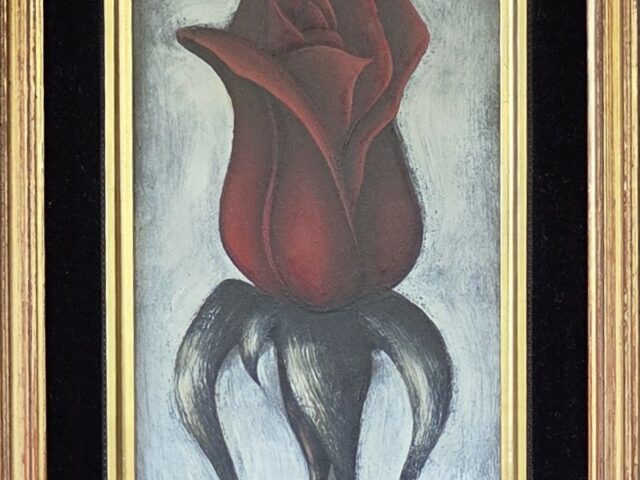 La rose rouge n°3